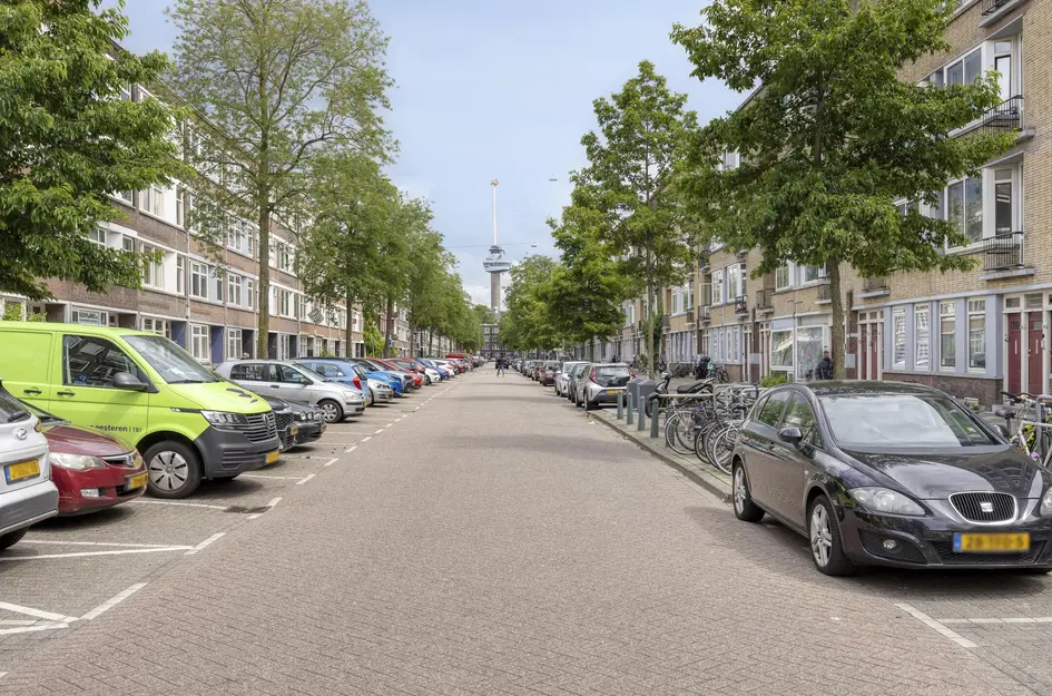 Willem Buytewechstraat 207B