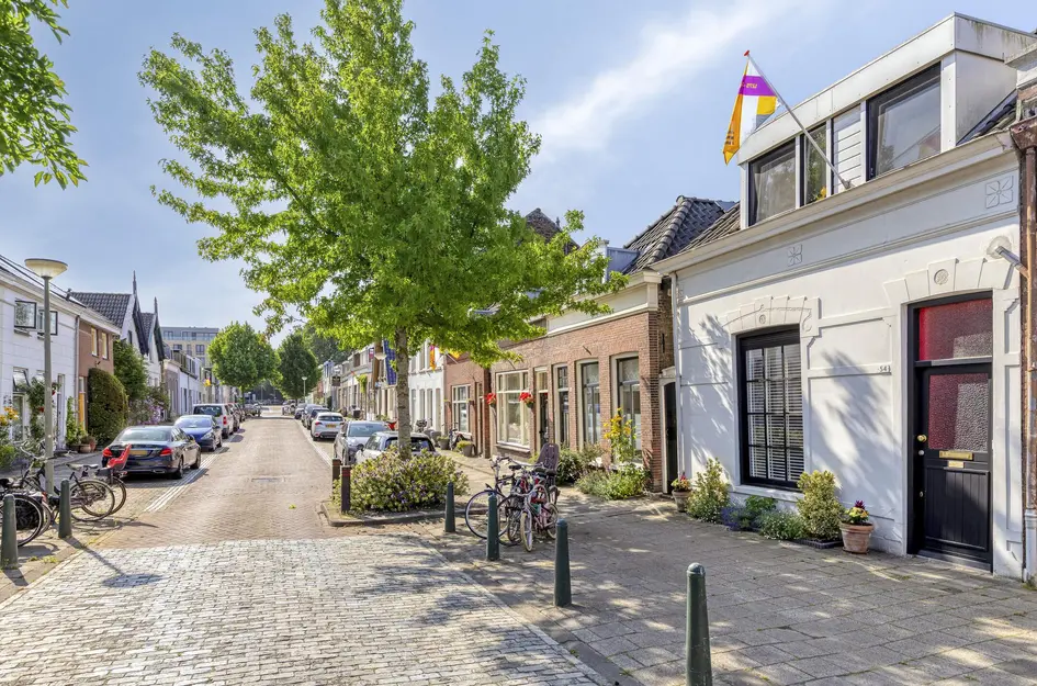 Oostsingel 54