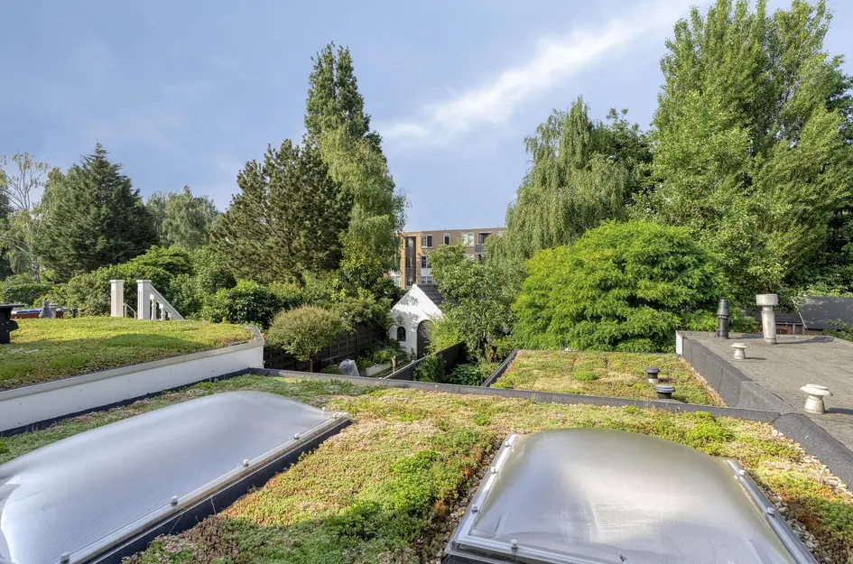 Oostsingel 54
