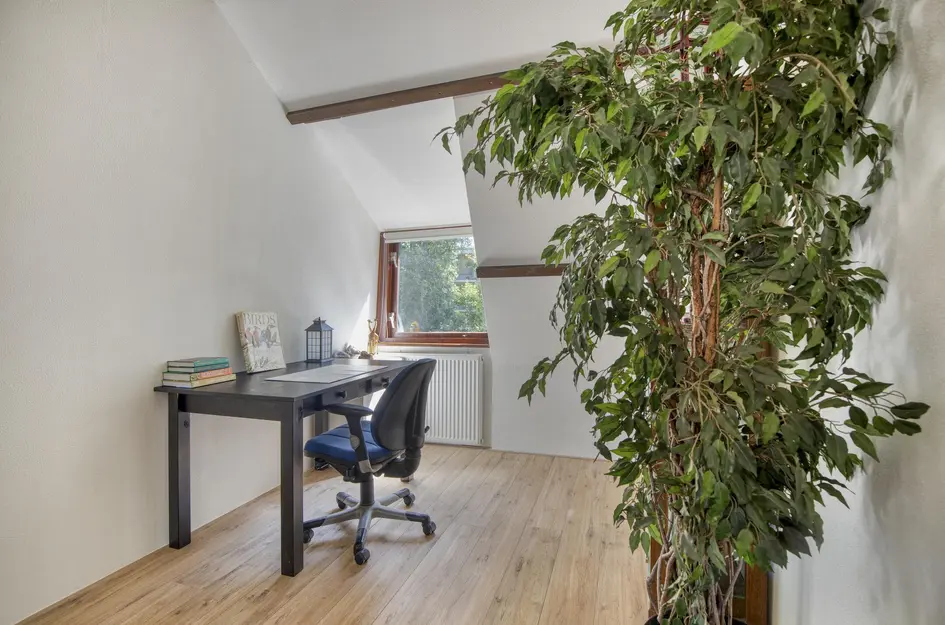 Hordijk 67
