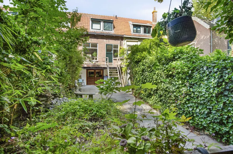 Hordijk 67