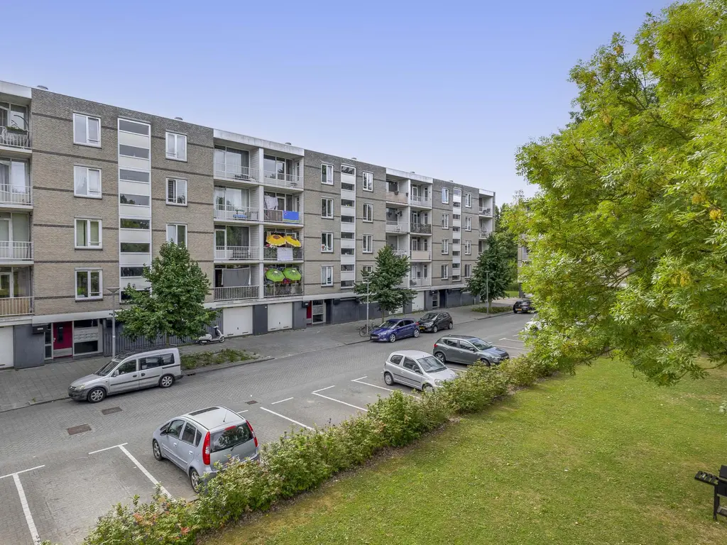 Ruygeplaat 153, ROZENBURG