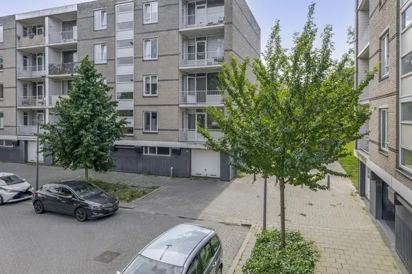 Ruygeplaat 153