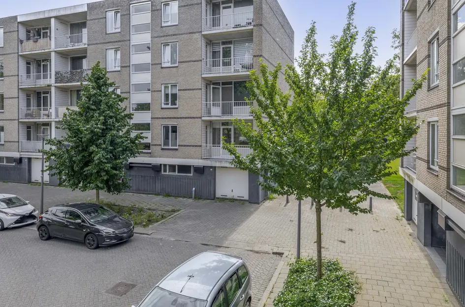 Ruygeplaat 153