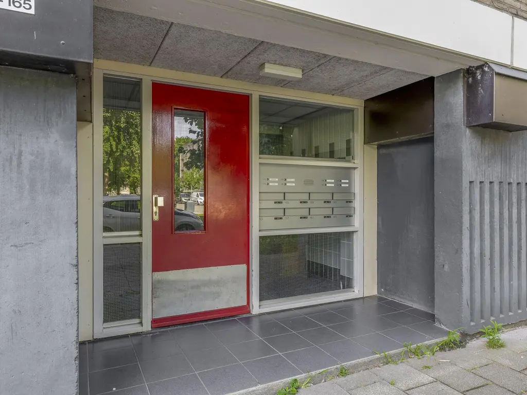 Ruygeplaat 153, ROZENBURG