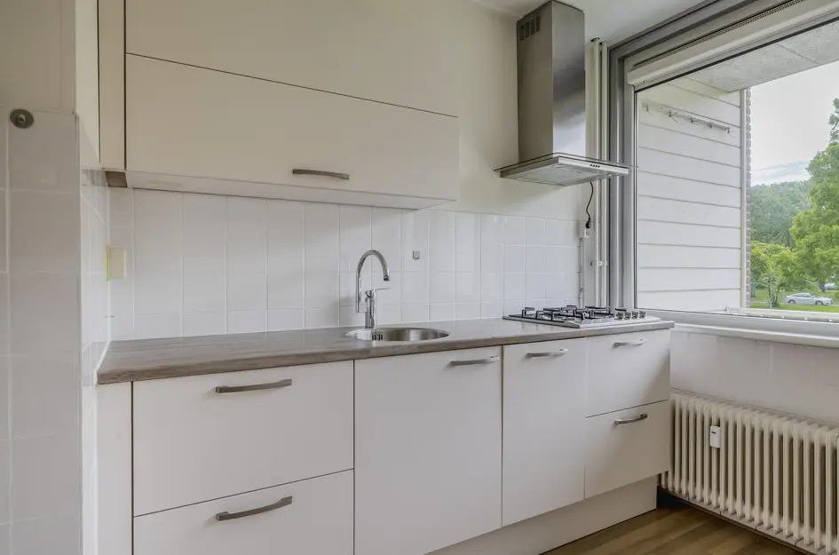 Ruygeplaat 153