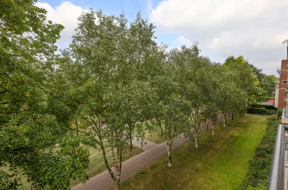Robert Baeldestraat 113