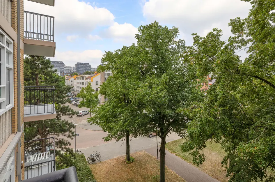 Robert Baeldestraat 113
