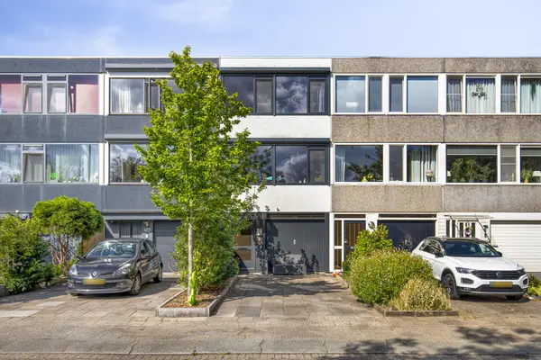 Akkerdistel 15