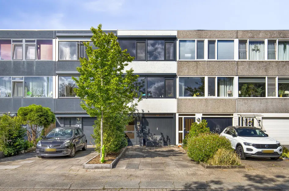 Akkerdistel 15