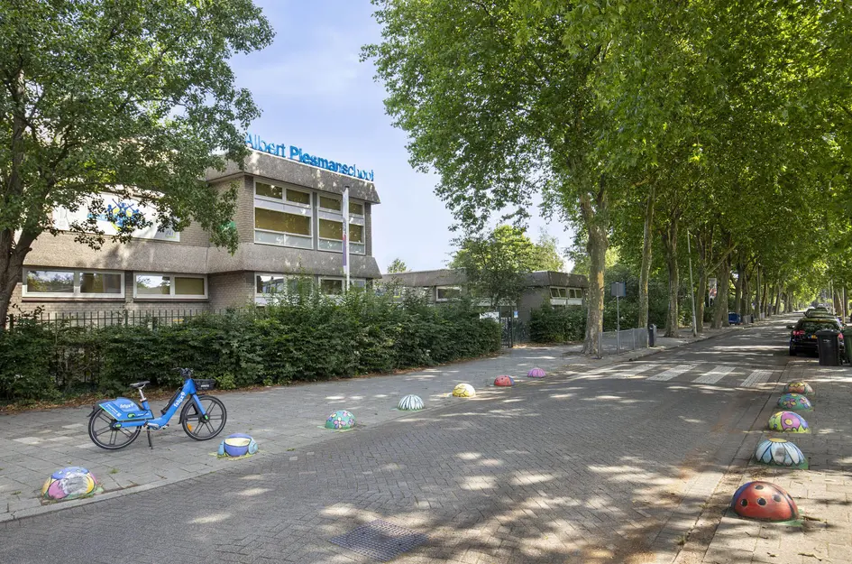 Akkerdistel 15