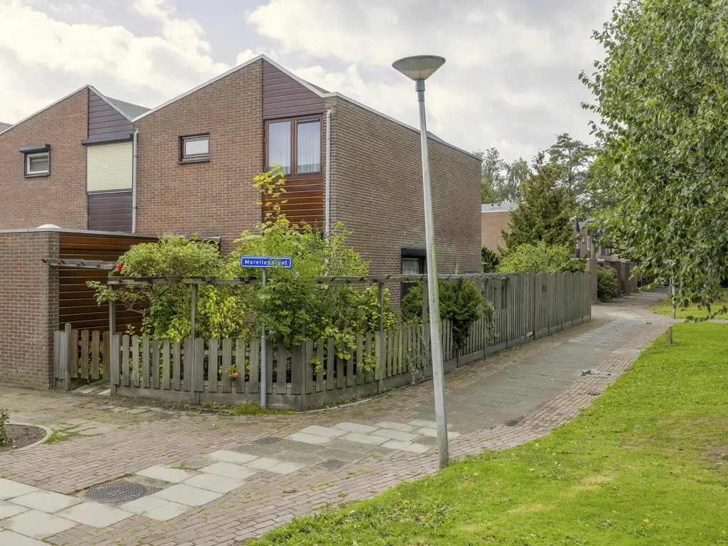Morellendreef 19, ROZENBURG