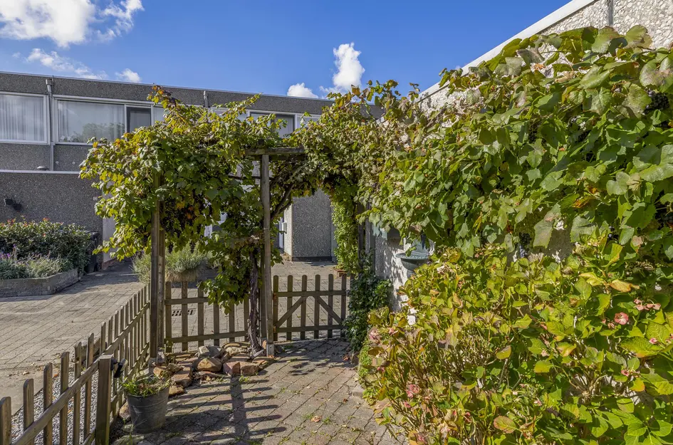 Azarooldoorn 12