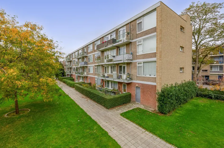 Ruigenhoek 79