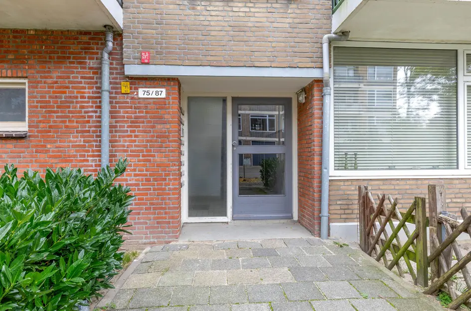 Ruigenhoek 79