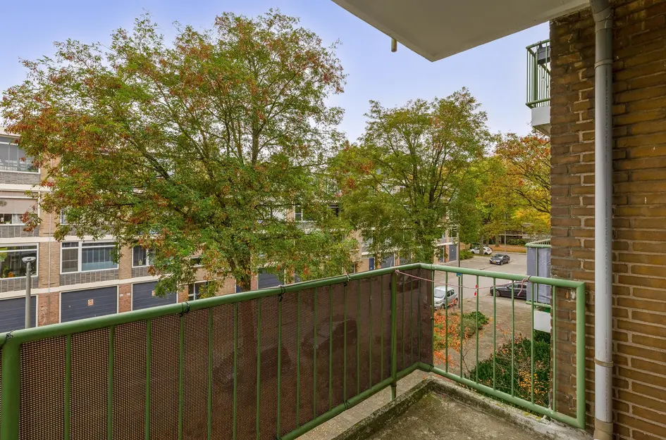 Ruigenhoek 79