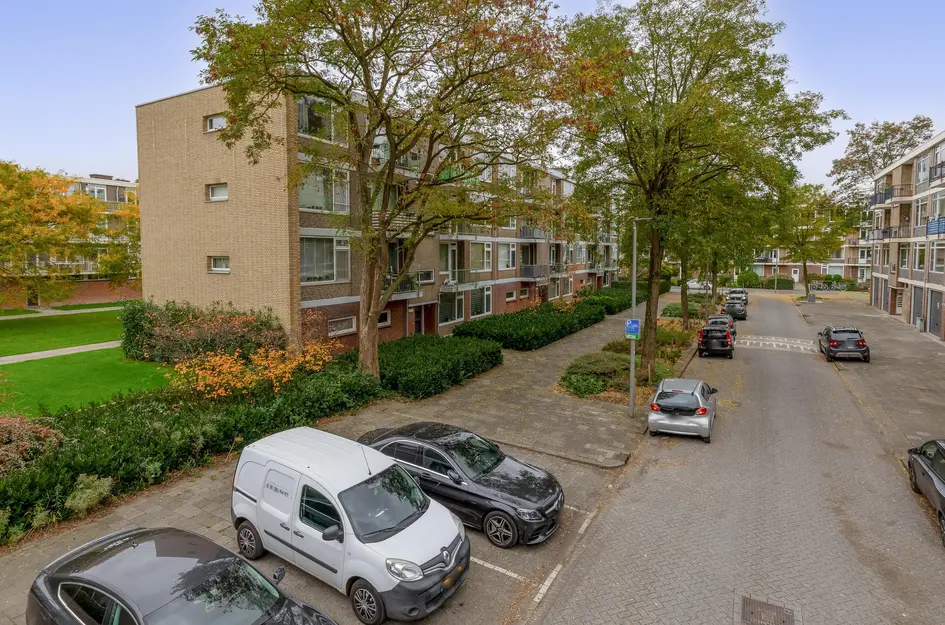Ruigenhoek 79
