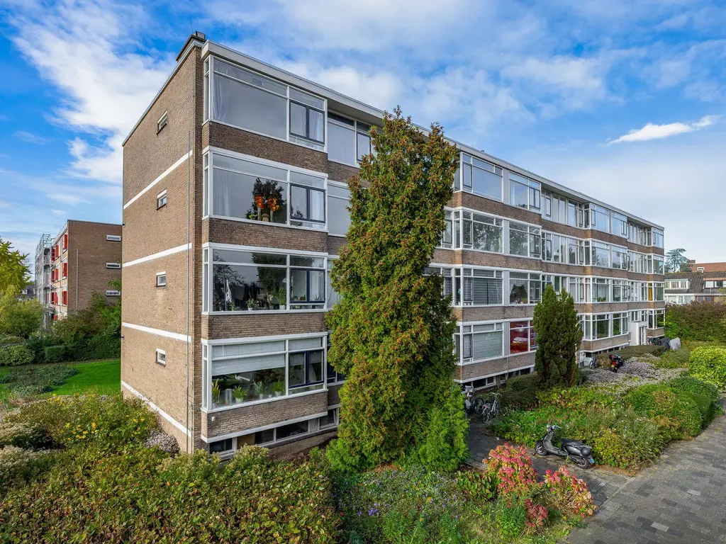 Nieuwenoord 231, ROTTERDAM