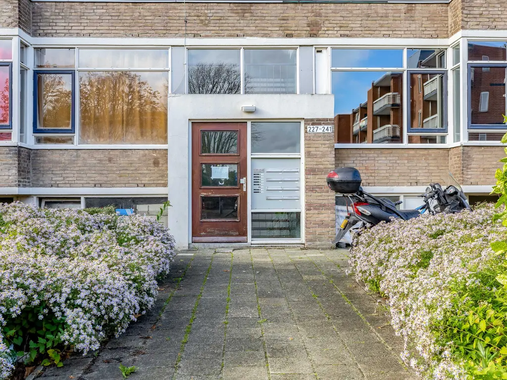 Nieuwenoord 231, ROTTERDAM