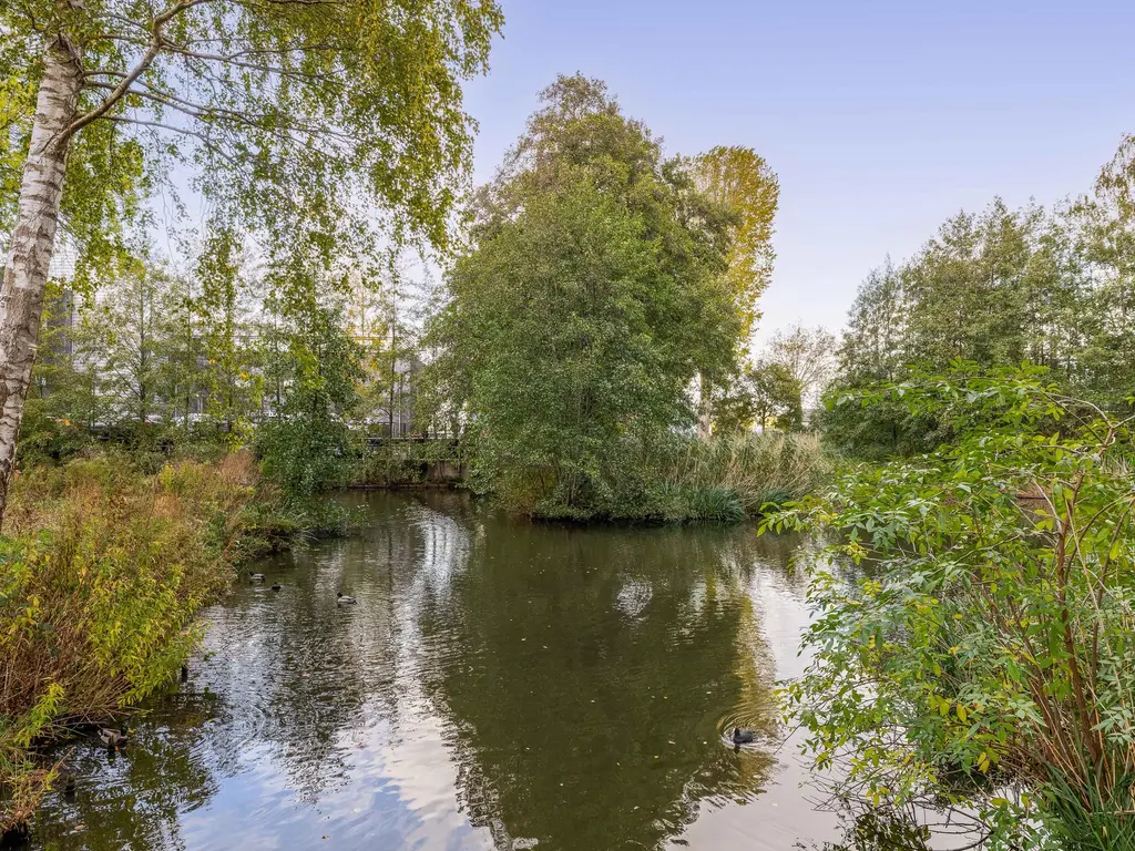 Godijn van Dormaalstraat 94, ROTTERDAM