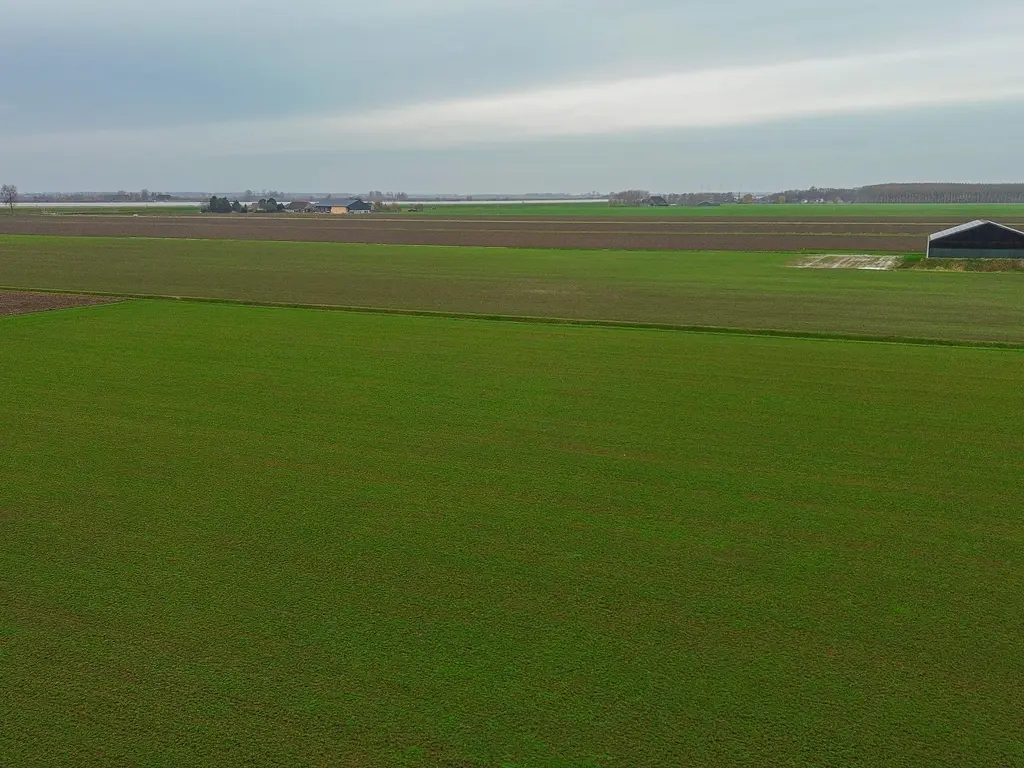 Molendijk 85, ZUID-BEIJERLAND