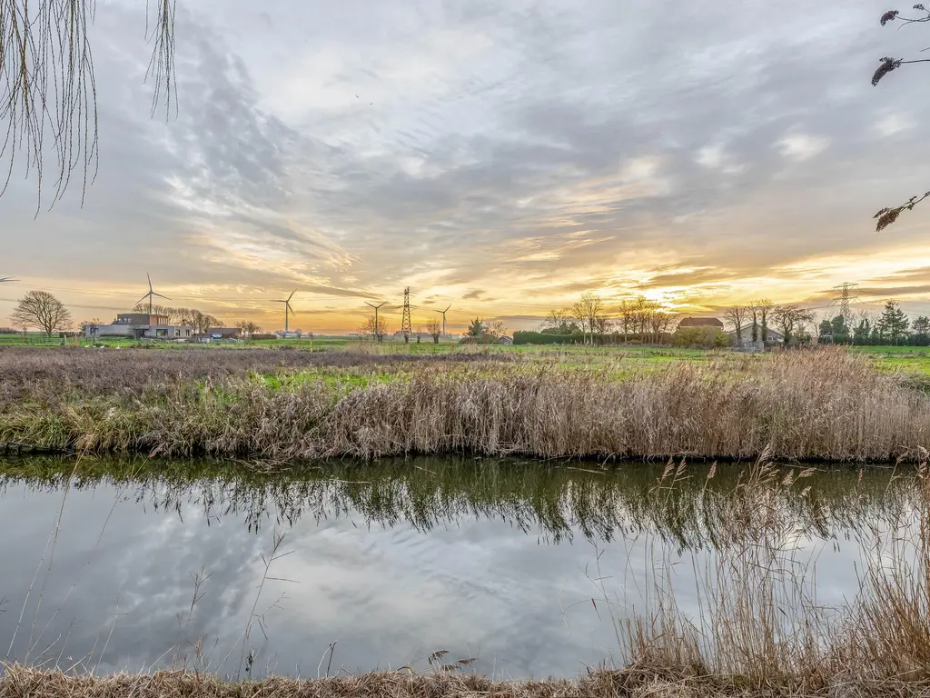 Raaigras 25, SPIJKENISSE