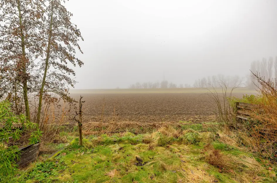 Goidschalxoordsedijk 38