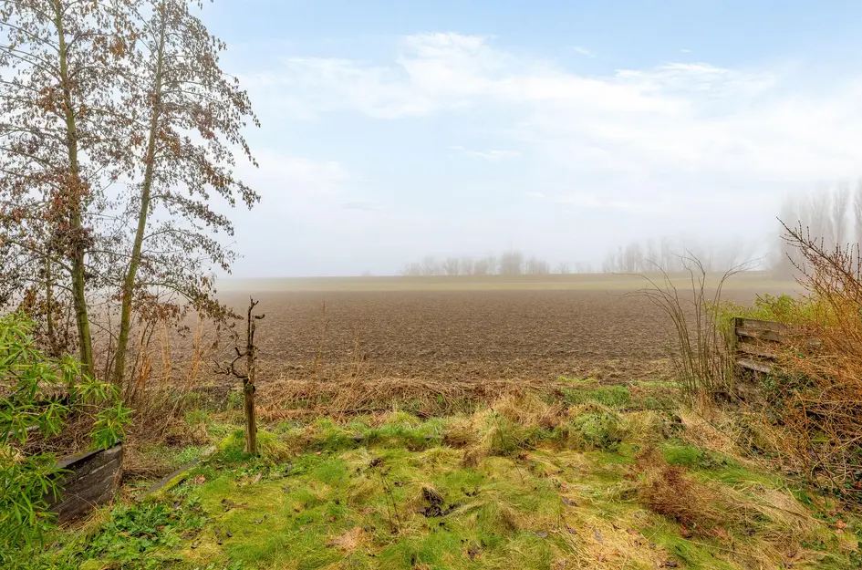 Goidschalxoordsedijk 38