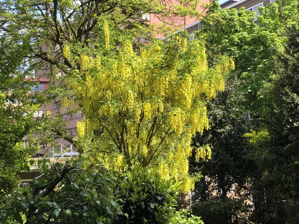 's-Gravendijkwal 152A, ROTTERDAM