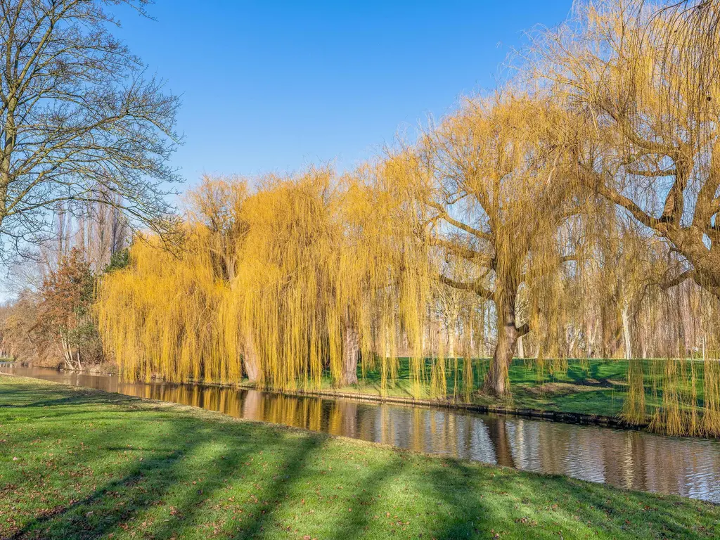 Oudelandseweg 210, HOOGVLIET ROTTERDAM