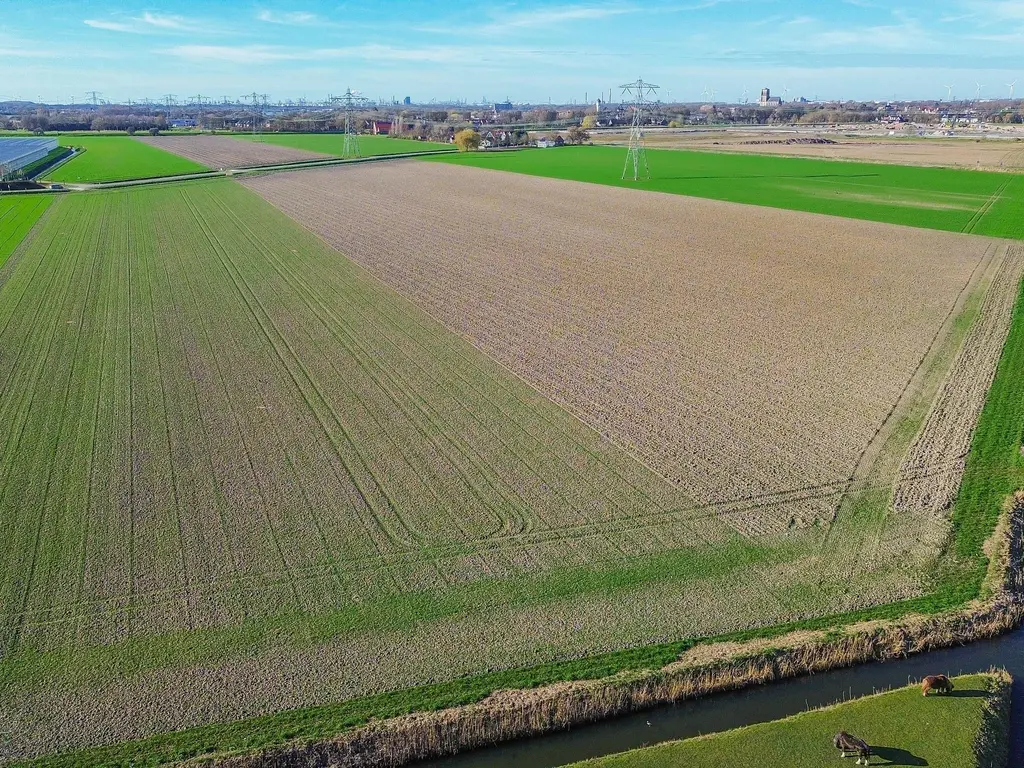 Veckdijk 28, VIERPOLDERS