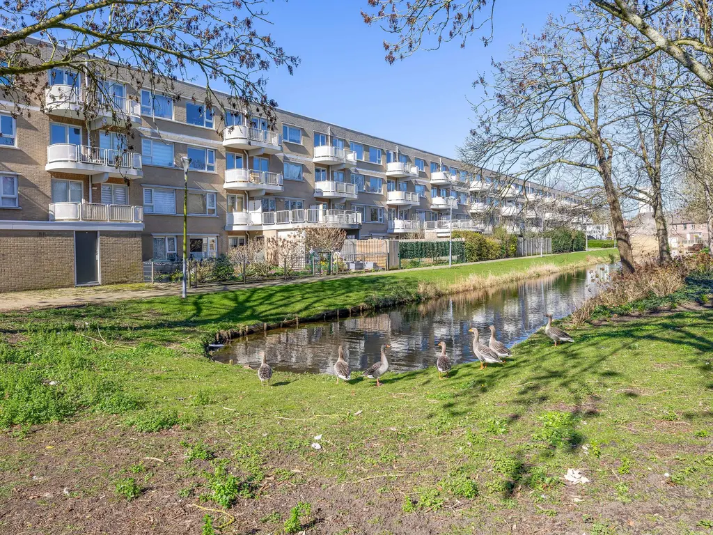 Helsingborgerf 64, ROTTERDAM