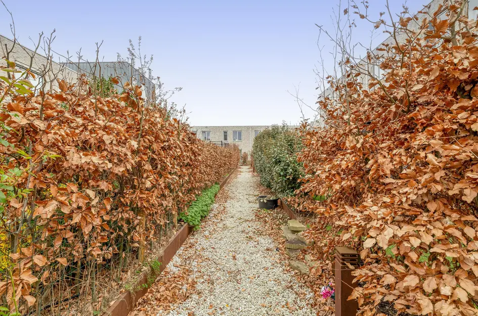 Annie de Reuverhof 8