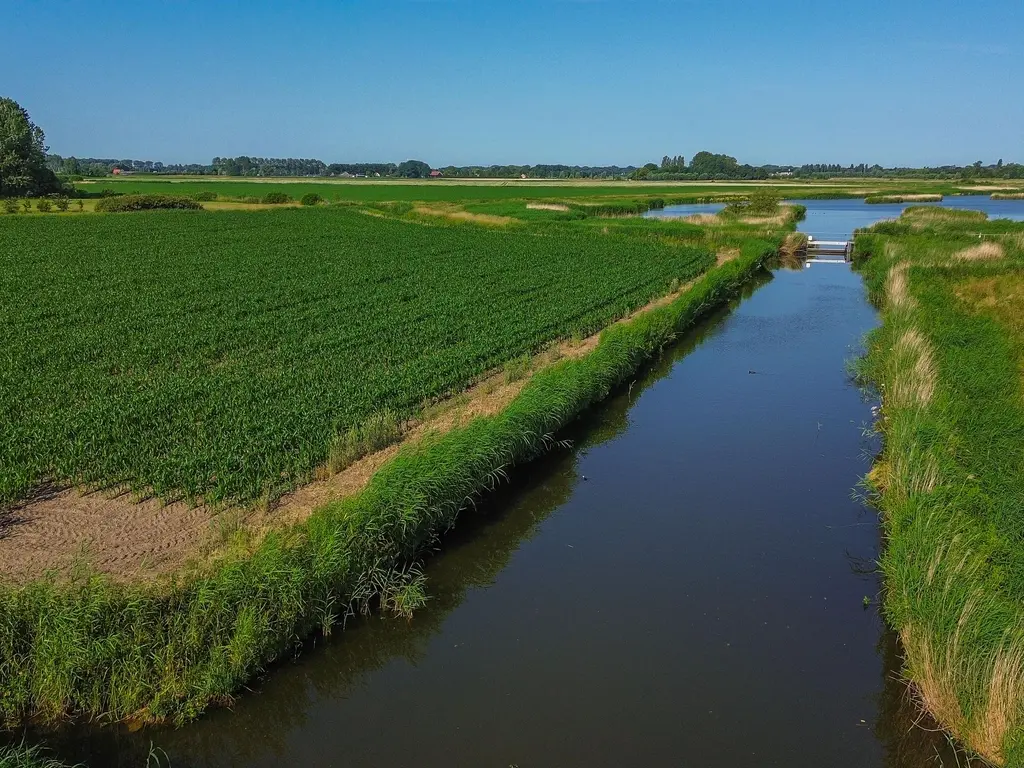 Dwarsdijk 1, ROCKANJE