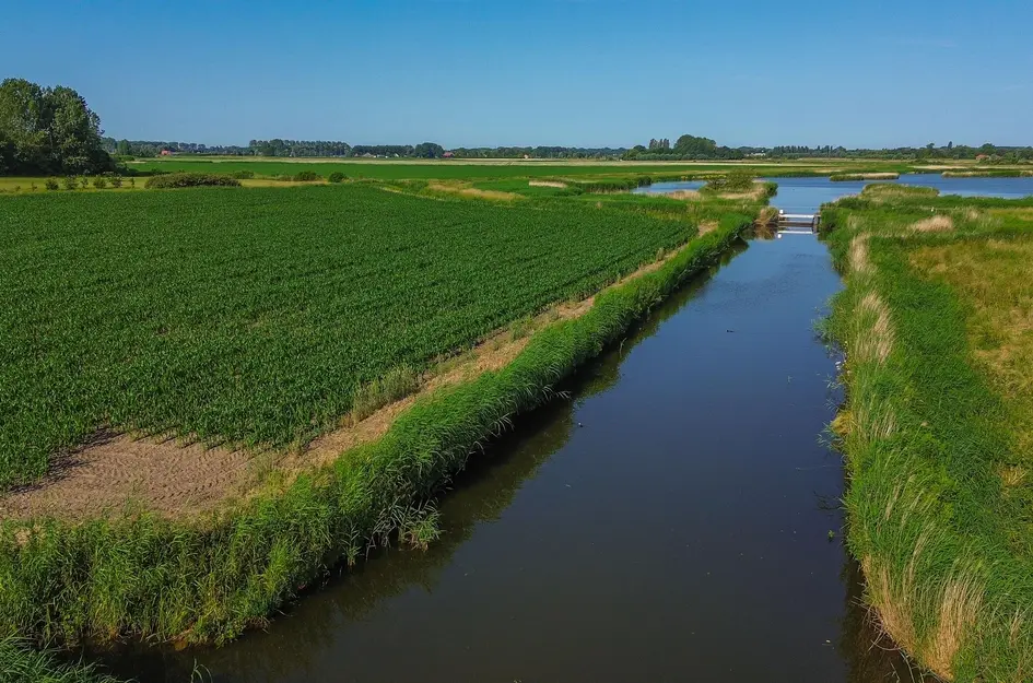 Dwarsdijk 1