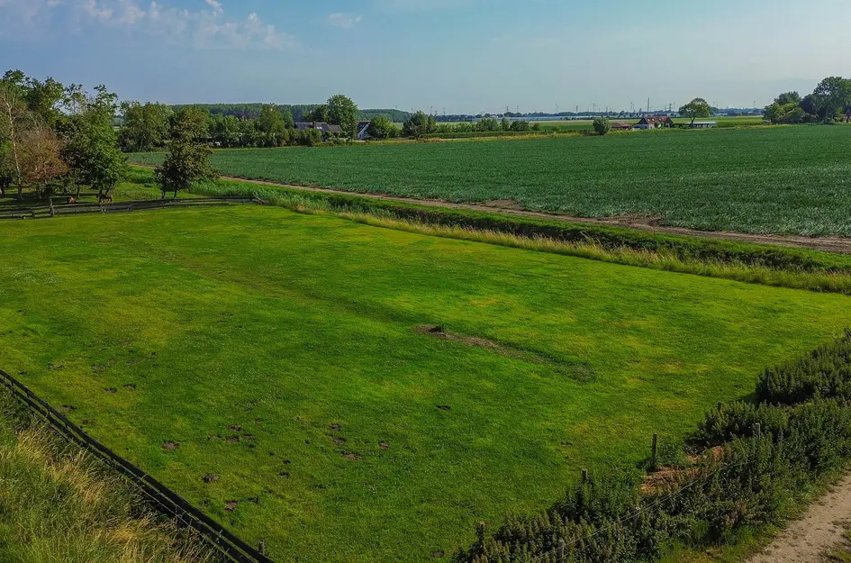 Dwarsdijk 1