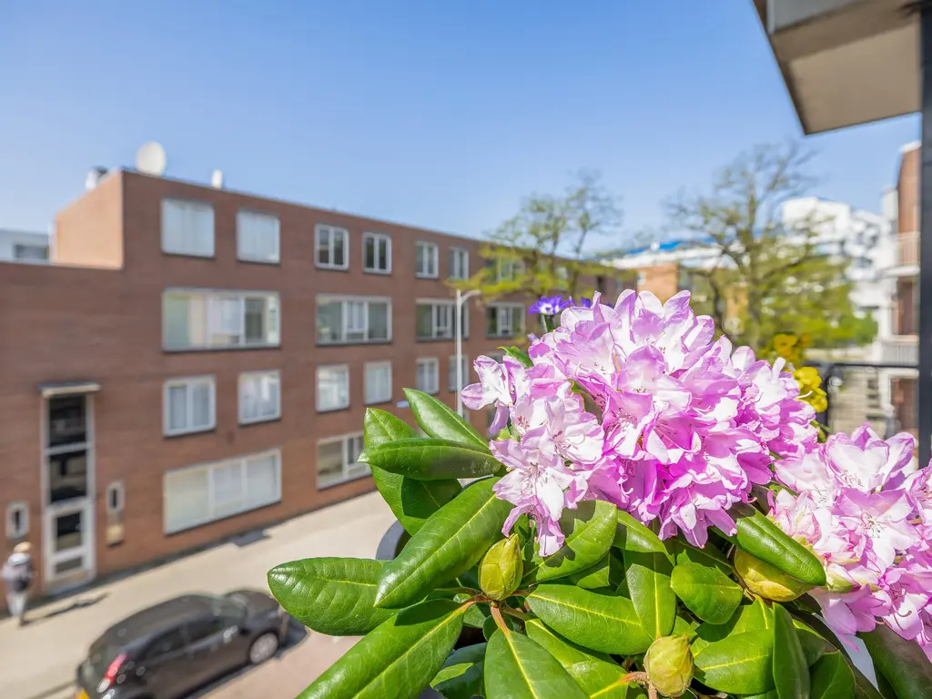 Singelstraat 18, ROTTERDAM