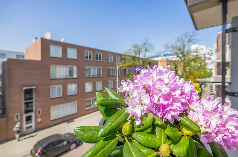 Singelstraat 18
