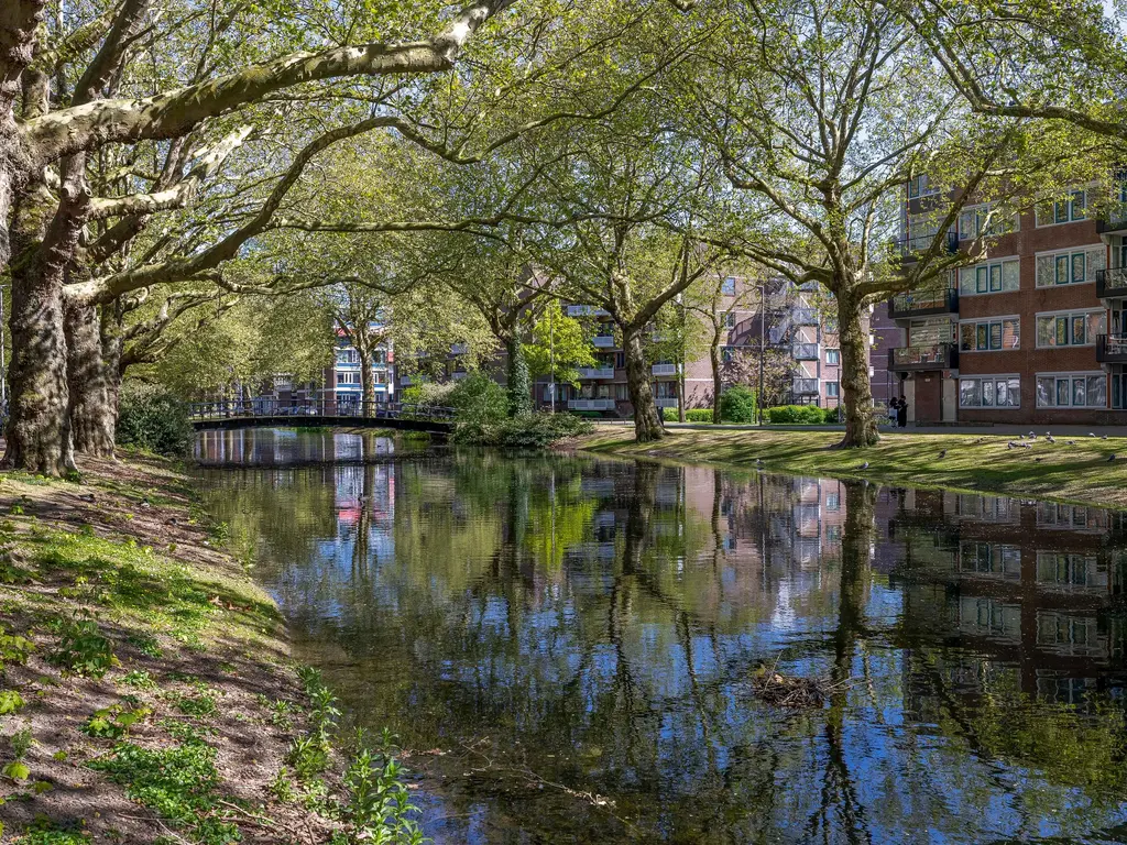 Alex de Haasstraat 14, ROTTERDAM
