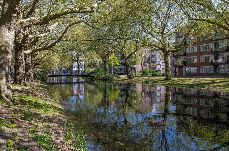 Alex de Haasstraat 14