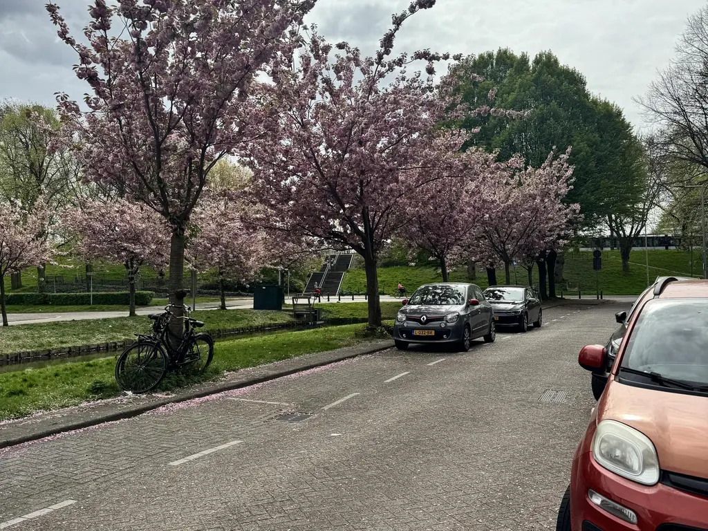 Pasteursingel 69C, ROTTERDAM
