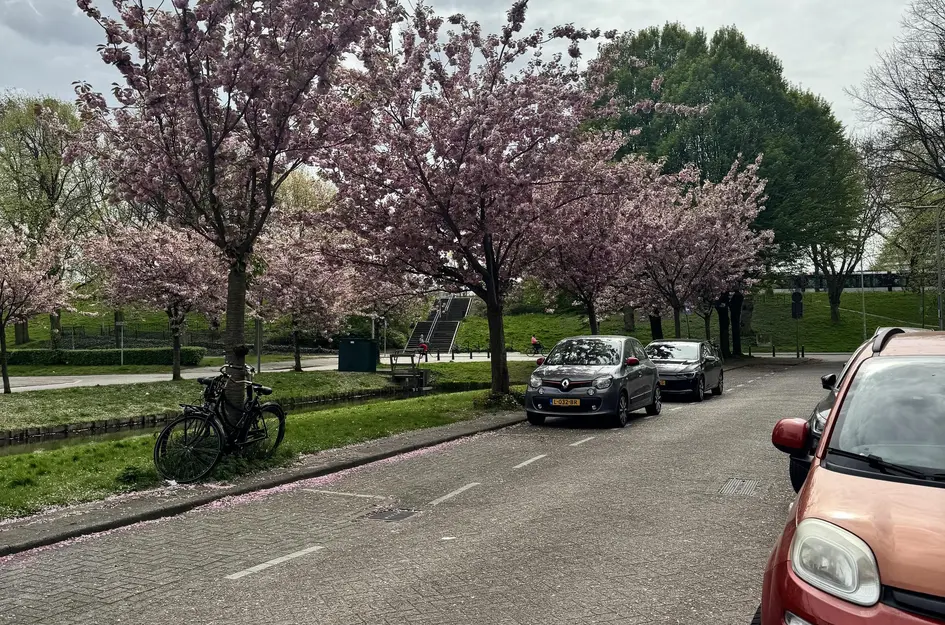 Pasteursingel 69C