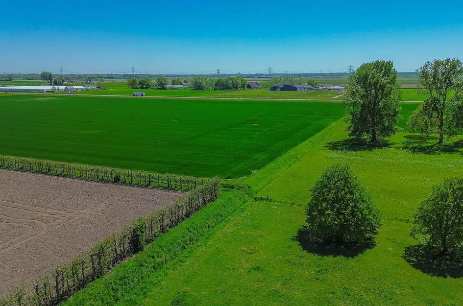 Stougjesdijk 236