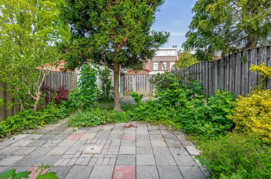 P. Groenenboomstraat 14