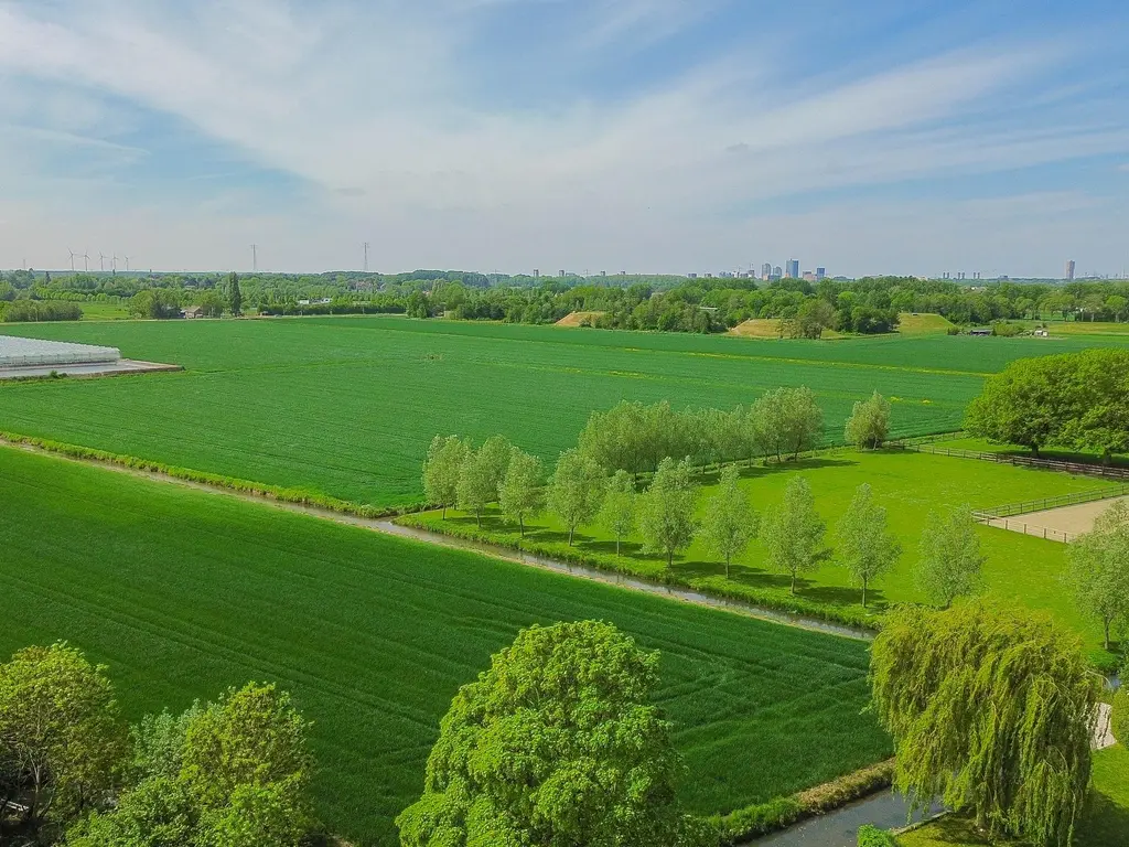 P. Groenenboomstraat 14, RHOON