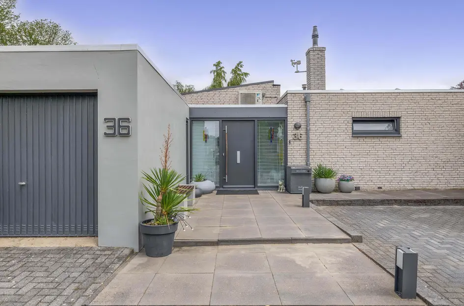 van Wassenhovenstraat 36