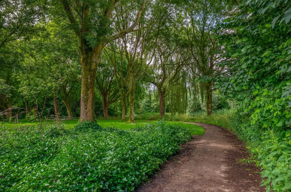 Brinkheide 32