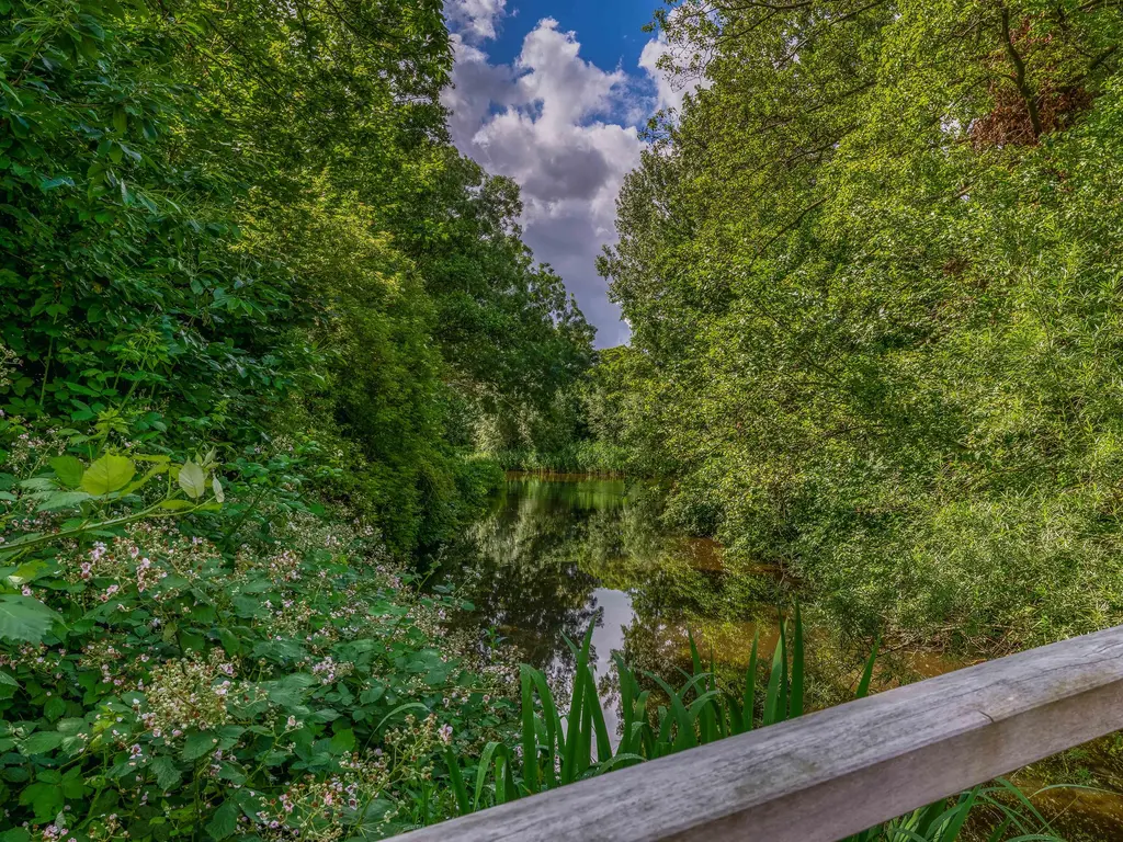 Brinkheide 32, ROTTERDAM