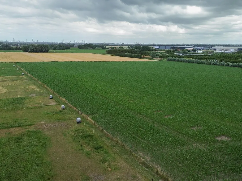 Middellantweide 7, HELLEVOETSLUIS