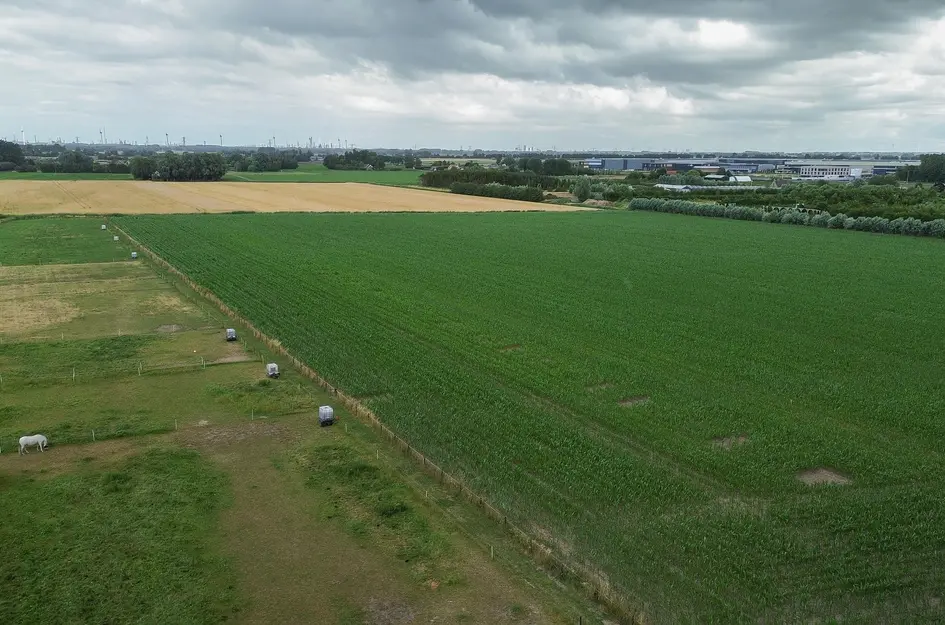 Middellantweide 7
